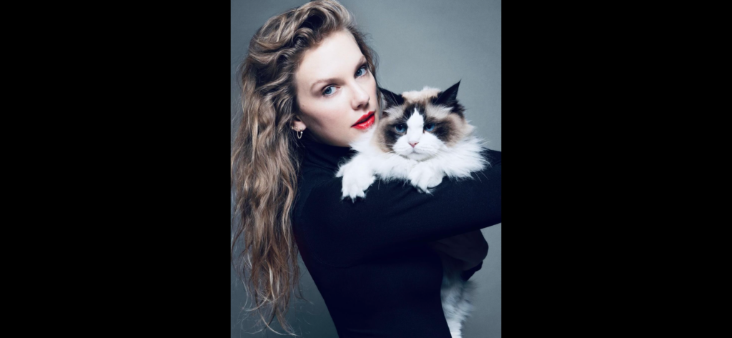 Taylor Swift Cat